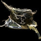 STITCHED IN WAR - Bone Stunna Bucket