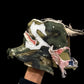 STITCHED IN WAR - Bone Stunna Bucket